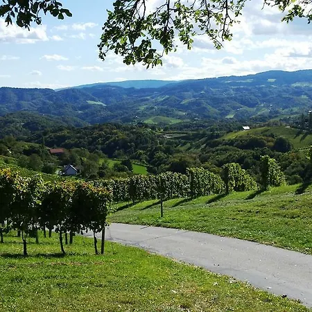 Tscheppe Lang-gasthof Ξενοδοχείο Leutschach